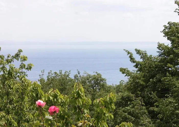 Appartamento With A Parking Space Lovran, Opatija - 7743 *